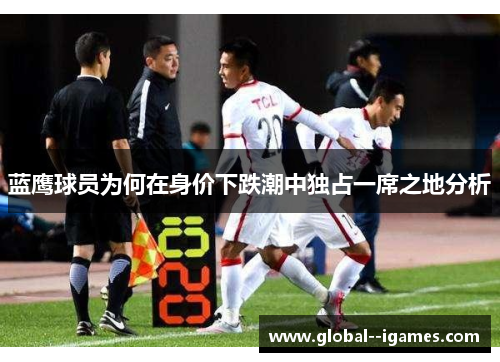 蓝鹰球员为何在身价下跌潮中独占一席之地分析