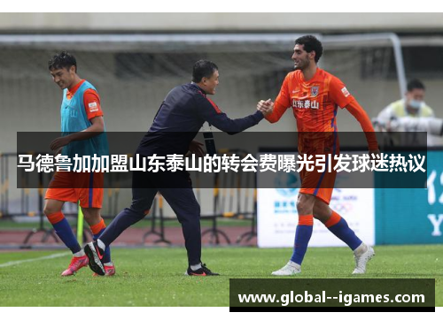 马德鲁加加盟山东泰山的转会费曝光引发球迷热议